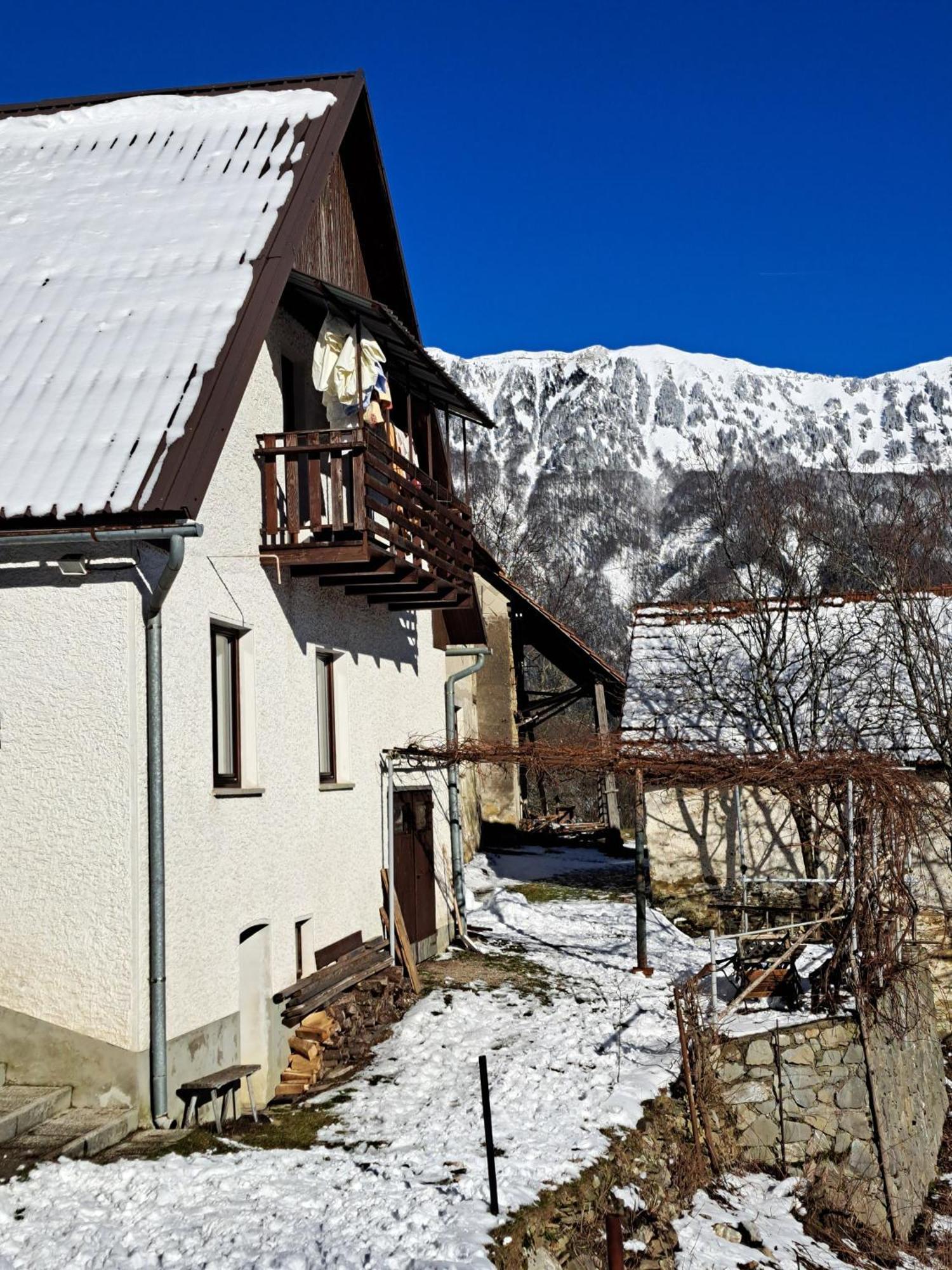 Hikers Hut Hisar Apartamento Podbrdo Exterior foto