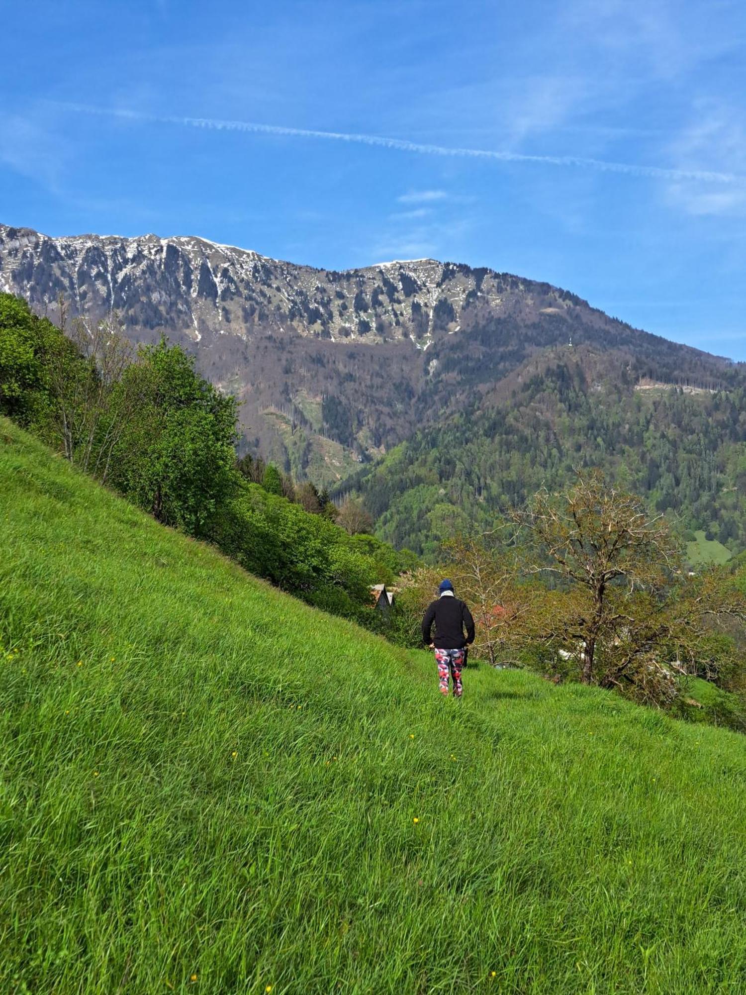 Hikers Hut Hisar Apartamento Podbrdo Exterior foto